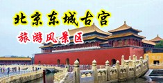 黑丝猛插喷浆99爱吃鸡中国北京-东城古宫旅游风景区